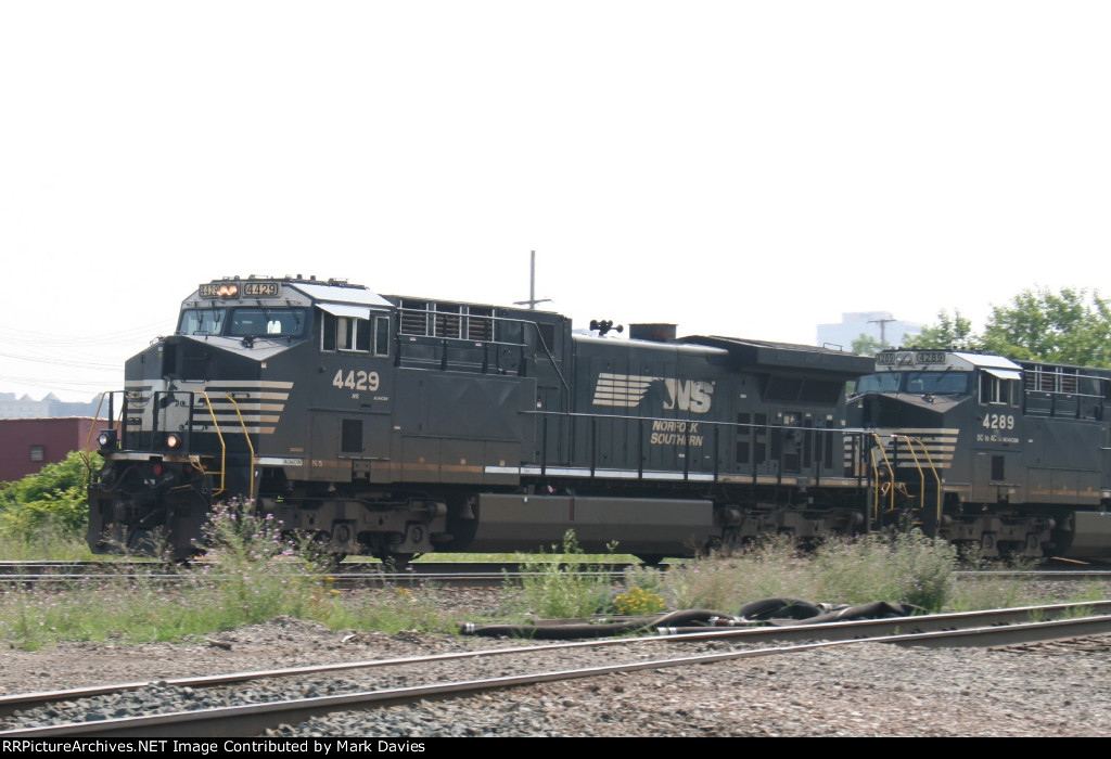 NS 4429